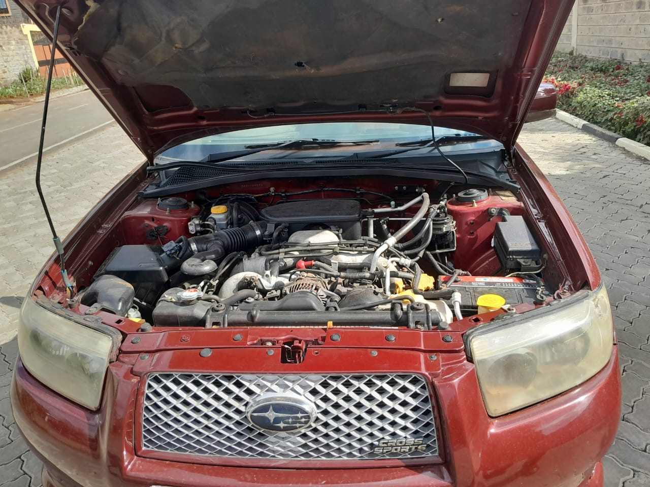 Subaru Forester Sg5 Cross sport
